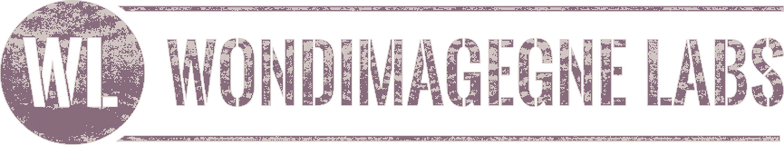Wondimagegne Labs